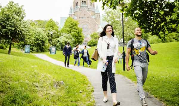 دلایل تحصیل در سوئد